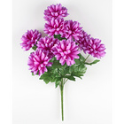 Bouquet de dahlias, violet