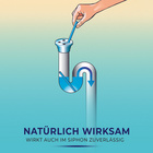 Lot de 12 bâtonnets pour conduites Lavande CLARSEN