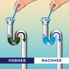 Lot de 12 bâtonnets pour conduites Lavande CLARSEN