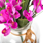 Bouquet de crocus, violet
