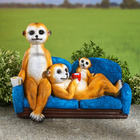 Famille suricate sur un canapé