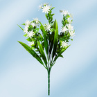 Bouquet de fleurs, blanc