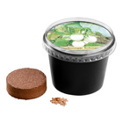 Set de culture Plante à œufs