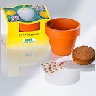 Set de culture Plante à œufs