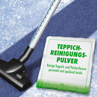 Poudre de nettoyage pour tapis