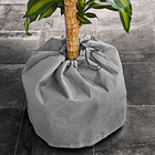 Protection hivernale pour plante en pot