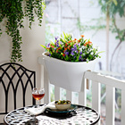 Bouquet de fleurs, violet