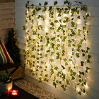 Rideau solaire Lierre