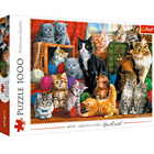 Puzzle 1000 pièces - chats