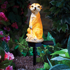 Lampe solaire Suricate Gainsborough