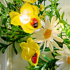 Couronne LED "Narcisses &marguerites"