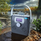 Radio-/CD portable Bergström