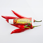 Crème Capsicolle Capsaicin 50g