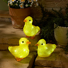 Poussins lumineux, 3 pièces
