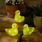 Poussins lumineux, 3 pièces