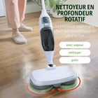 Nettoyeur vapeur rotatif Bergström