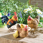 Famille poules 3 pièces