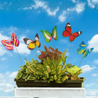 Étiquettes pour plantes « Papillons », lot de 5