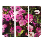 Lot de 3 autocollants pour poubelle "Gerbera"