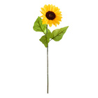 Tournesol décoratif