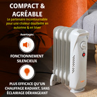 Radiateur portable Bergström