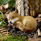 Décoration automnale de jardin Bébé renard endormi Gainsborough