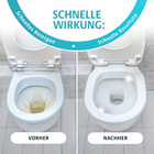 Nettoyant WC moussant Clarsen