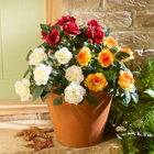 Bouquet de roses artificielles