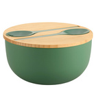 Saladier vert avec couverts KESPER