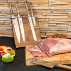 Set de couteaux Laguiole 5 pcs. avec bloc magnétique HAWS