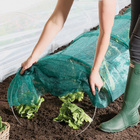 Tunnel de plantation pour toute l'année, lot de 3