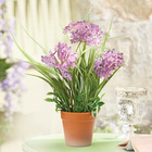 Agapanthe plante artificielle