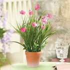 Dianthus plante artificielle