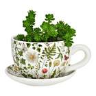 Pot de fleurs Tasse à plantes "Plantes" en céramique petite