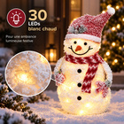 La dame de neige à LED « Mrs. Frosty »