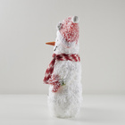 La dame de neige à LED « Mrs. Frosty »