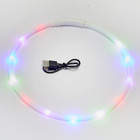 Collier lumineux pour chiens
