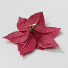 Lot de 2 clips « Étoile de Noël »
