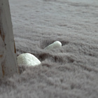 Tapis à poils longs RABBIT 780 Anthracite Rond Paco Home