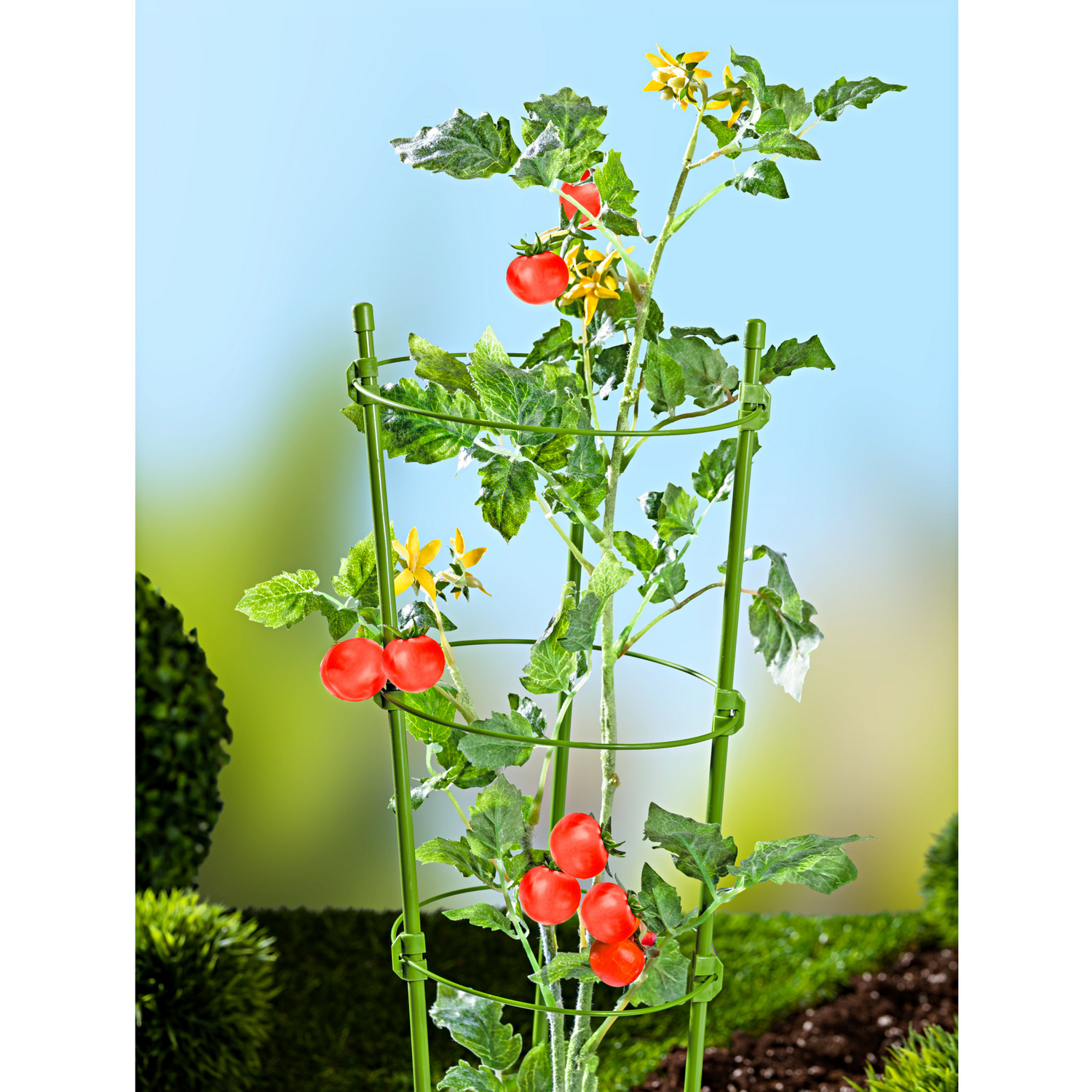 Support à plantes