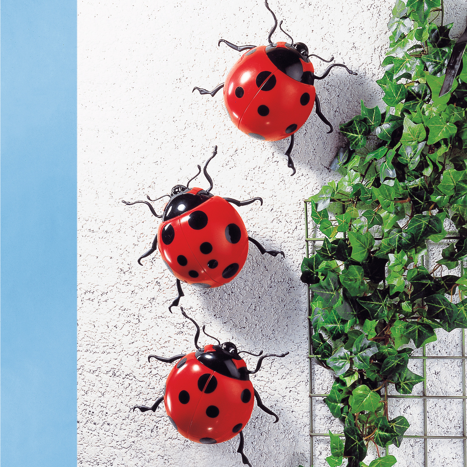 Déco murale Coccinelle géante