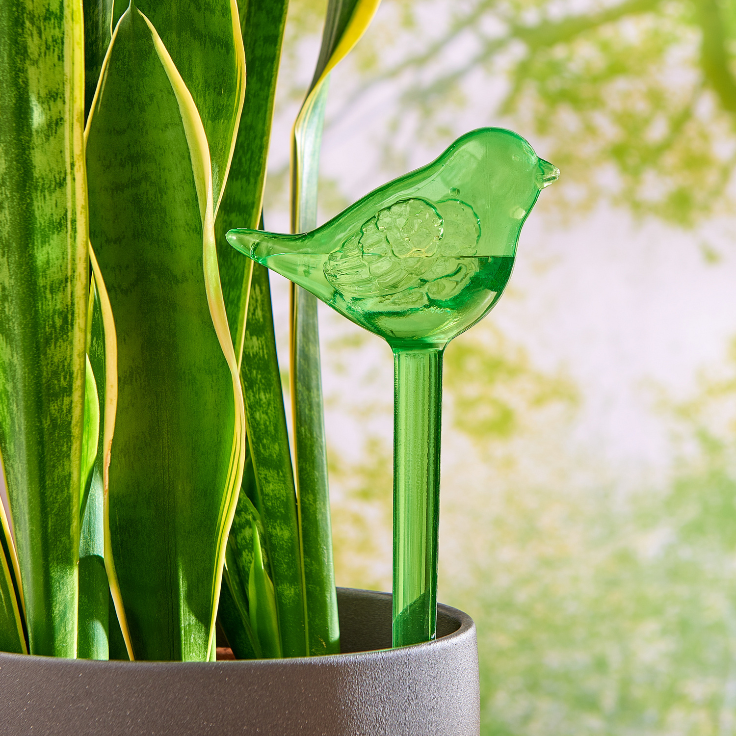 Lot de 2 distributeurs d'eau Oiseaux
