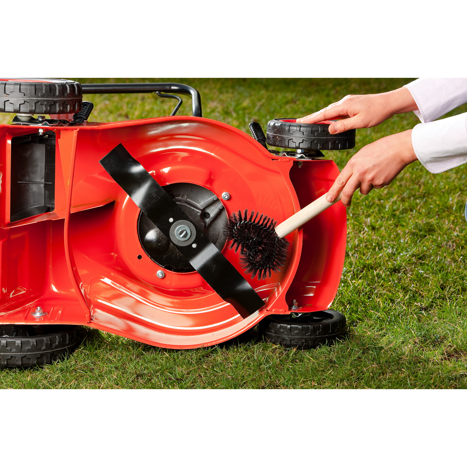Brosse à tondeuse et pour le jardin