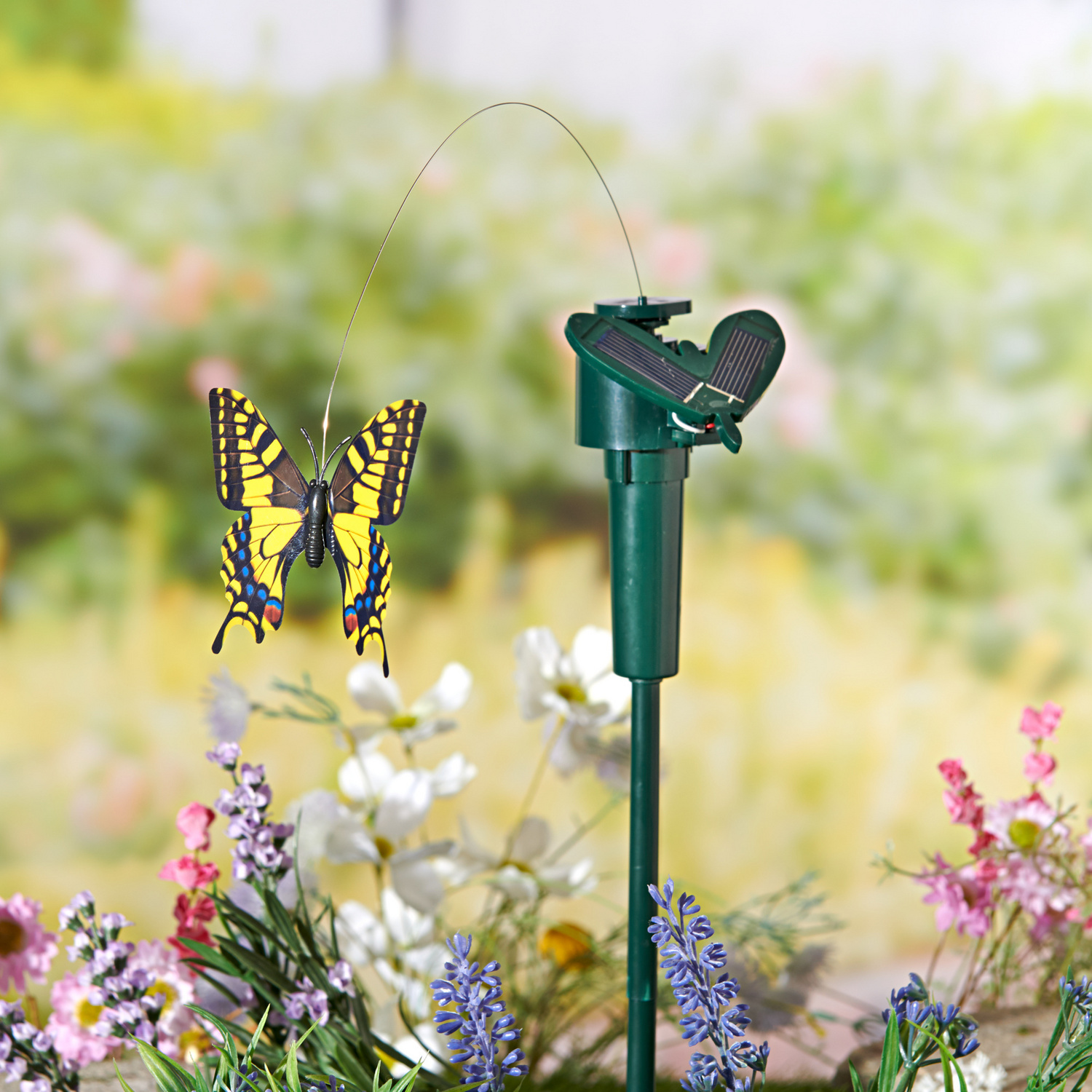 Déco Papillon solaire